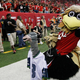 Freddie Falcon (Photo: Kevin C. Cox/Getty Images)
